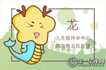 龙 龙