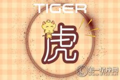 总学不会珍惜身边人的生肖男