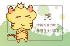 对待感情最古板的生肖
