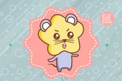 吃起醋来永无休止的生肖