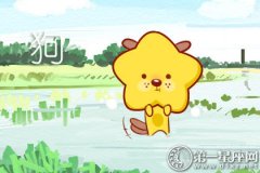 这四大生肖始终觉得初恋才是最美好的