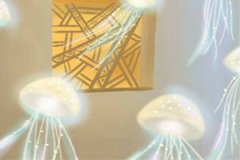 十二生肖喜爱上一个人会做哪些傻事