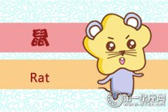 觉得世上没有比恋爱更美好的四大生肖