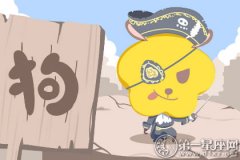 成熟善良懂得疼对象的生肖