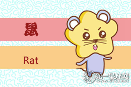 鼠 鼠