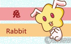 喜欢被喜欢的人粘着的生肖