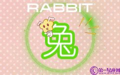 分手后会萎靡不振很久的生肖女