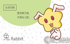 就算是秀恩爱也没有安全感的生肖