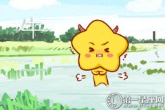 恋爱白痴 经常把对方气得半死的生肖
