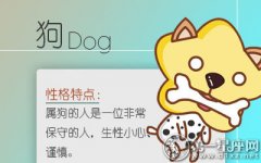 什么生肖的人没有感情空窗期