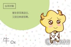 不是不爱 只是不想炫耀另一半的生肖
