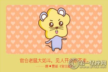 鼠 鼠