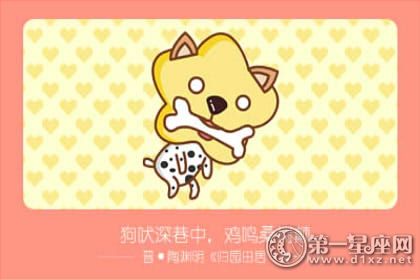 狗 狗