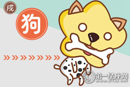 狗 狗