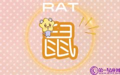 何必呢 会为了爱情摇尾乞怜的生肖