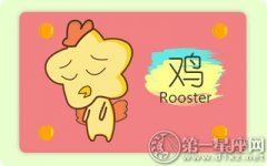 适婚年龄的属猪女和哪个生肖最配