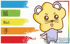 这几个生肖不信世上会有真爱