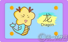 学摄影是为了不让恋人看起来太蠢的生肖