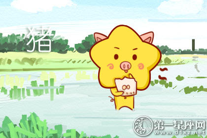 属猪 属猪