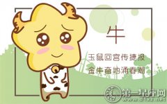 什么原因让姑娘们想嫁这些生肖男
