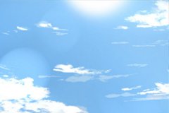 明知没结果还是选择在一起的生肖女