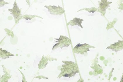 属蛇 属蛇