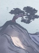 被动地等待，容易与爱情失之交臂的生肖