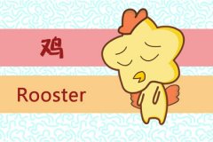 1993年属鸡的最佳配偶，即将步入晚婚