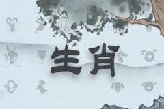 属鼠2017年头三月的运势如何