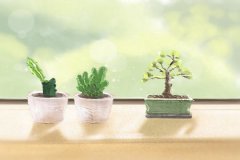 生肖运势：鼠年出生的人2017年九月运势