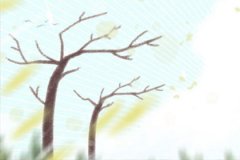 属牛发红包的吉祥数字是什么