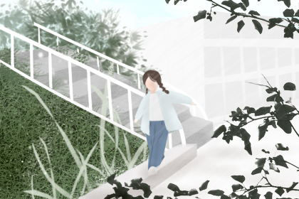 属兔 属兔
