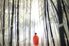 生肖运势：属兔人2017年的运势