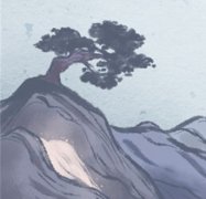 厉害了word妞，属龙女最会下厨