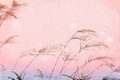 原来你们这么野！属龙的童年是什么样的