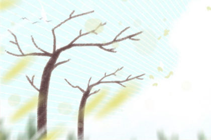 属龙 属龙