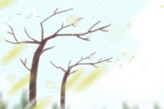 宠物重病将要死亡，属龙人会怎么办