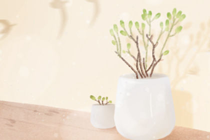 属马 属马