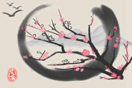 属猴 属猴