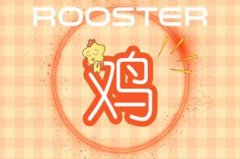 属鸡81的2021财运好不好