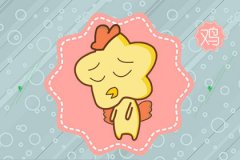 属鸡在喜欢的人面前是什么样的
