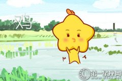 属鸡如何应付阳奉阴违的人