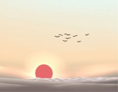 揭秘属鸡2017下半年最佳转运时机