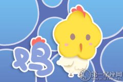 属鸡理性的一面都表现在哪里