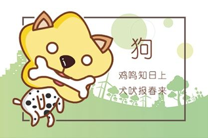 属狗 属狗