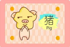 属猪女人如何对付不重视你的丈夫