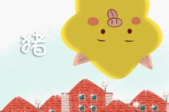 土猪年五行缺什么