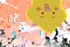 属猪在什么情况下会走进酒吧