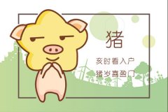 猪宝宝几月出生最好 6月猪宝宝怎么样