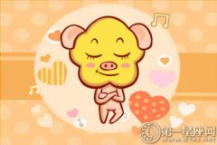 属猪女生找男友最重视什么条件